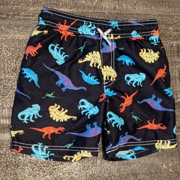 Toddler Boy Swim Trunks - Picture 1 of 4